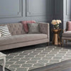 Zelhem Modern Medium Gray Area Rug