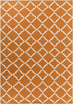 Selwerd Modern Burnt Orange Area Rug