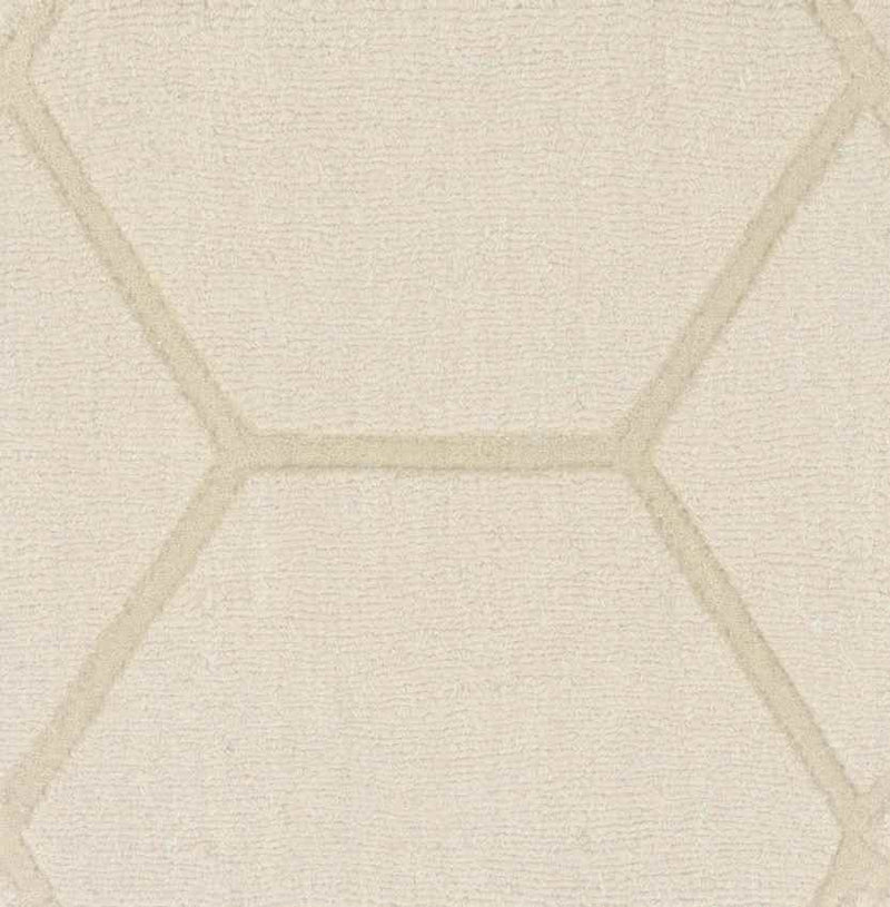 Onnen Modern Ivory Area Rug