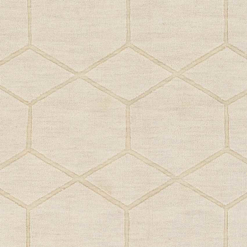 Onnen Modern Ivory Area Rug