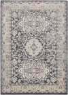 Spankeren Traditional Medium Gray Area Rug