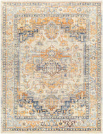 Westeneng Traditional Burnt Orange Area Rug