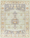 Balk Traditional Wheat Area Rug