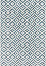Aekinga Traditional White Area Rug