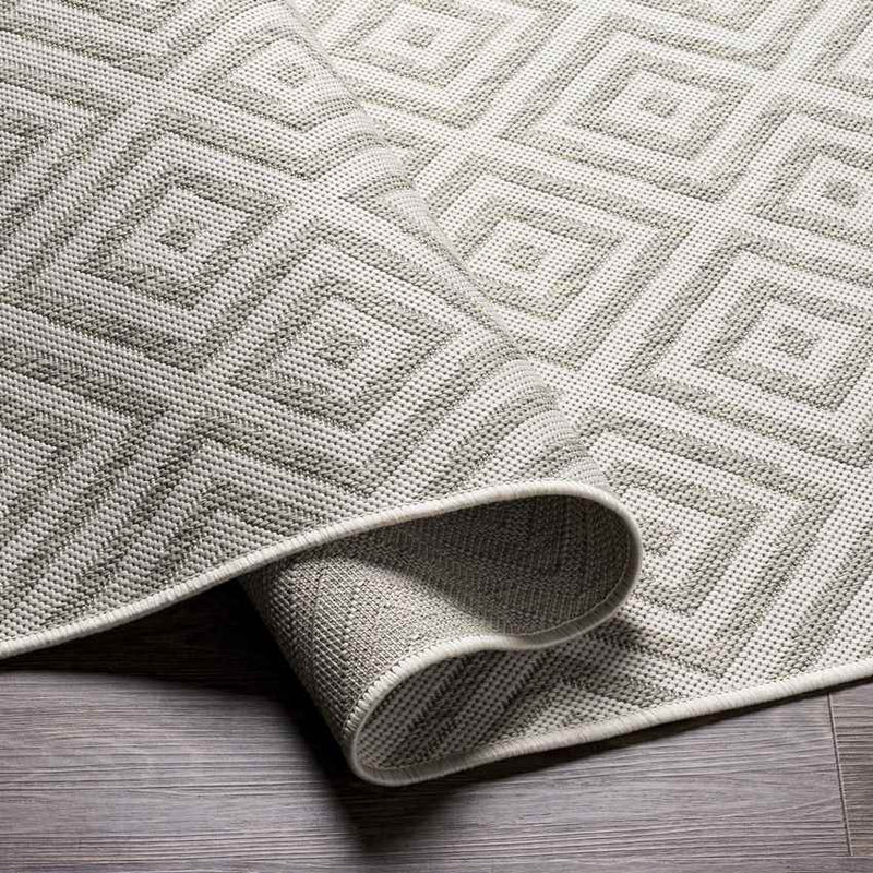 Aekinga Traditional Beige Area Rug