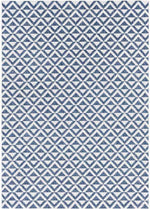 Akkrum Modern Blue Area Rug