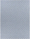 Akkrum Modern Blue Area Rug