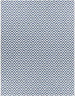 Akkrum Modern Blue Area Rug