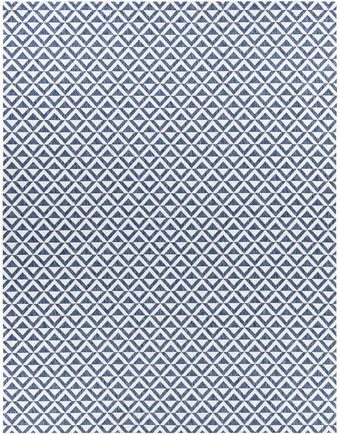Akkrum Modern Blue Area Rug