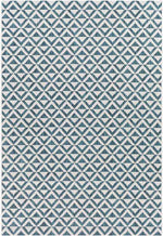 Akkrum Traditional White/Blue Area Rug