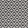 Akkrum Modern Black Area Rug