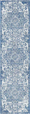 Appelscha Traditional Denim Area Rug
