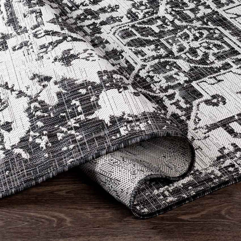 Appelscha Traditional Black Area Rug
