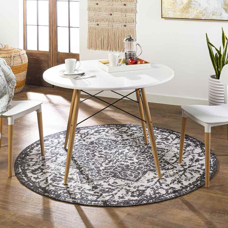 Appelscha Traditional Black Area Rug