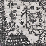 Appelscha Traditional Black Area Rug