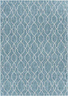 Valentijn Traditional Sky Blue Area Rug