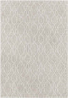 Valentijn Traditional Beige Area Rug