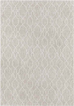 Valentijn Traditional Beige Area Rug