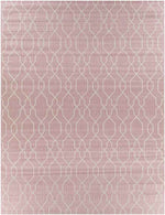 Valentijn Traditional Pink Area Rug