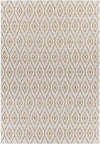 Varssel Traditional Burned Orange Area Rug