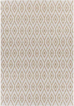 Varssel Traditional Burned Orange Area Rug
