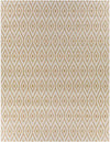 Varssel Traditional Burned Orange Area Rug