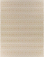 Varssel Traditional Burned Orange Area Rug