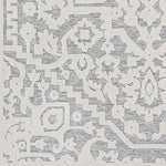 Terborg Traditional Medium Gray Area Rug