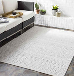 Terschuur Global Medium Gray Area Rug