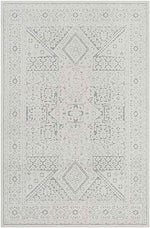 Terwolde Global Medium Gray Area Rug