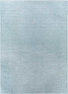 Tonsel Traditional Light Blue Area Rug