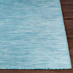 Tonsel Traditional Light Blue Area Rug
