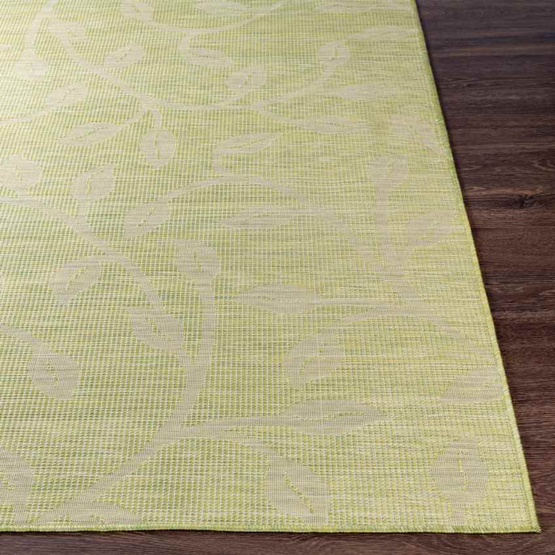 Broekhorn Traditional Moss Area Rug