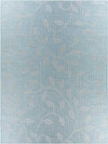 Broekhorn Traditional Aqua Area Rug