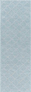 Bussum Traditional Aqua Area Rug