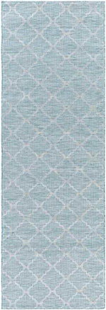Bussum Traditional Aqua Area Rug