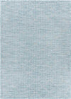 Bussum Traditional Aqua Area Rug