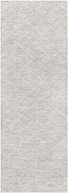 Bussum Traditional Light Gray Area Rug