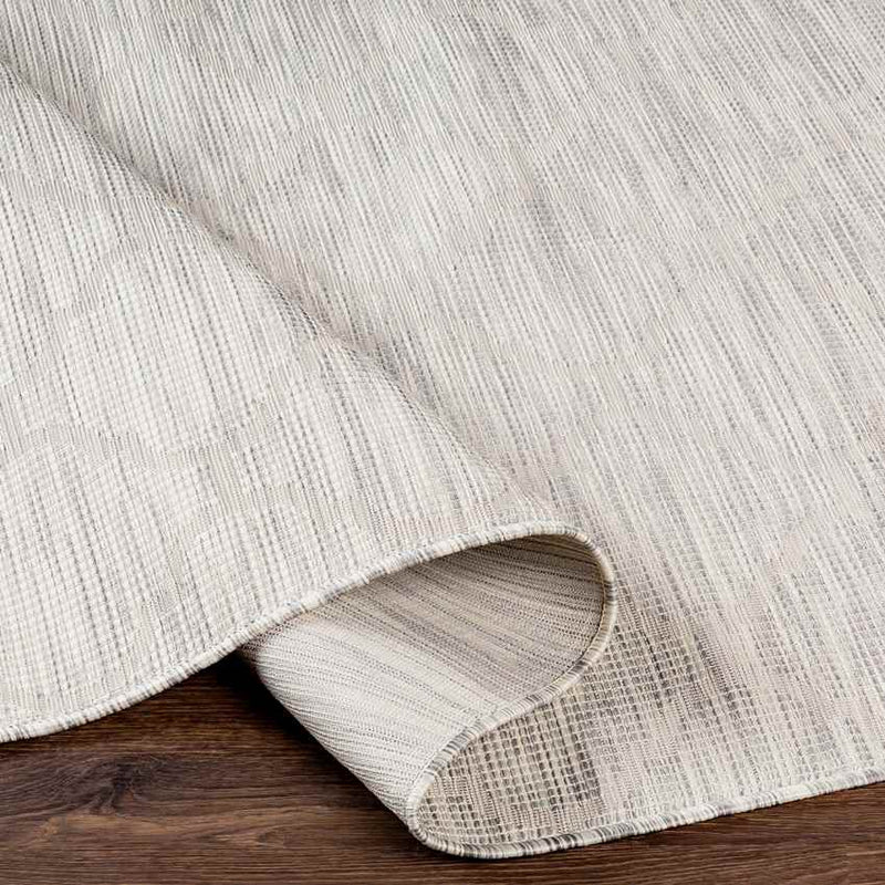 Bussum Traditional Light Gray Area Rug
