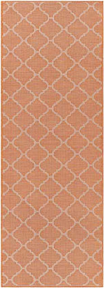Bussum Traditional Bright Orange Area Rug