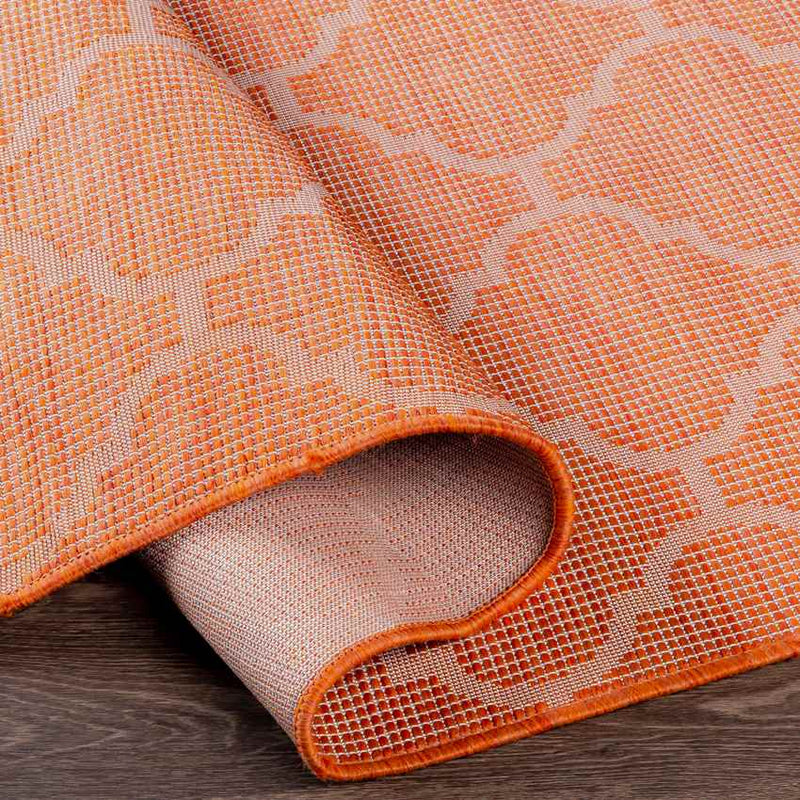 Bussum Traditional Bright Orange Area Rug
