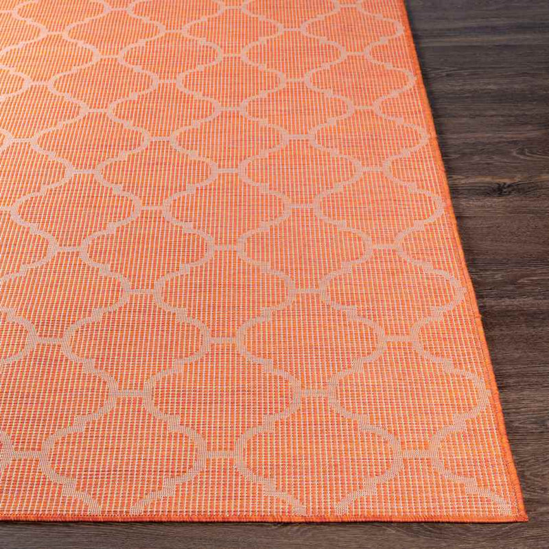 Bussum Traditional Bright Orange Area Rug