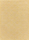 Bussum Traditional Saffron Area Rug