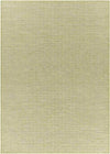 Castricum Traditional Light Green Area Rug