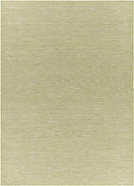 Castricum Traditional Light Green Area Rug