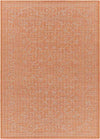 Castricum Traditional Orange Area Rug