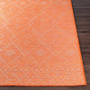 Catrijp Global Orange Area Rug