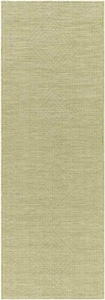 Craailo Global Light Green Area Rug
