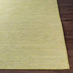 Craailo Global Light Green Area Rug