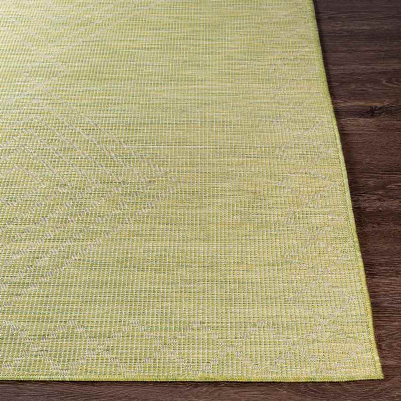 Craailo Global Light Green Area Rug